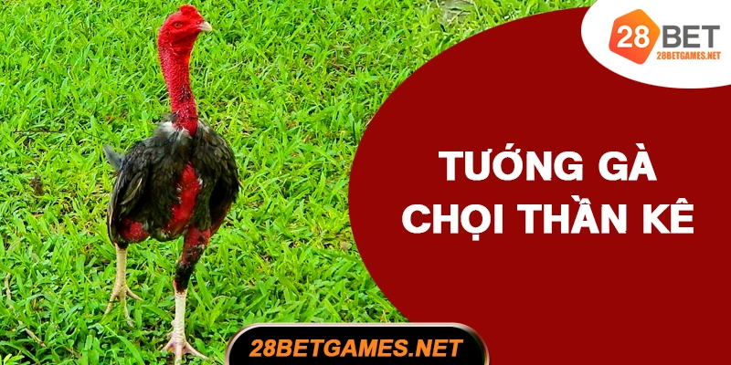 Tướng gà chọi thần kê và các loại phổ biến